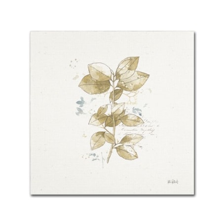 Katie Pertiet 'Floresta III' Canvas Art,14x14